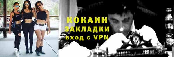 PSILOCYBIN Киренск