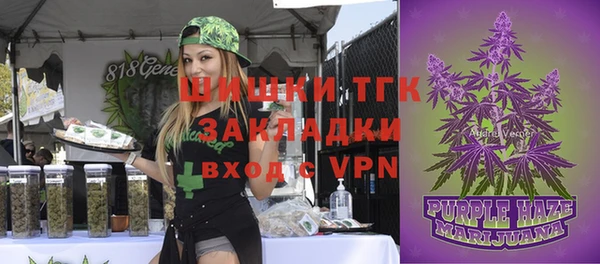 PSILOCYBIN Киренск