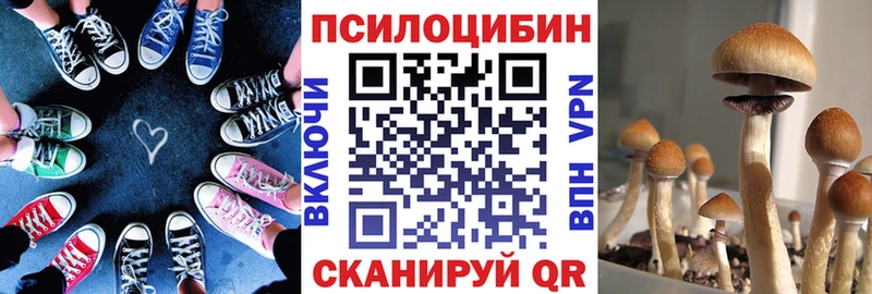 Купить закладки  Болохово  Галлюциногенные грибы Magic Shrooms 